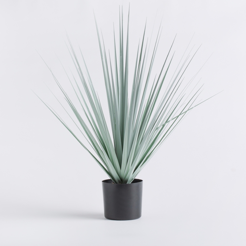 HERBA PLANTE 70cm