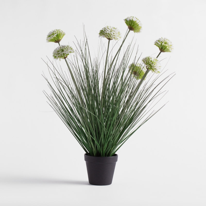 GRNISO ROSEAU 62cm