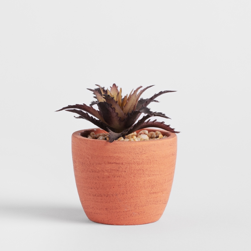 CALORE PLANTE 8x8cm
