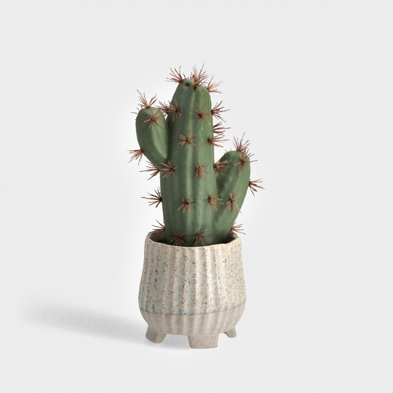 ECHINOCACTUS PLANTE 12x10x24cm