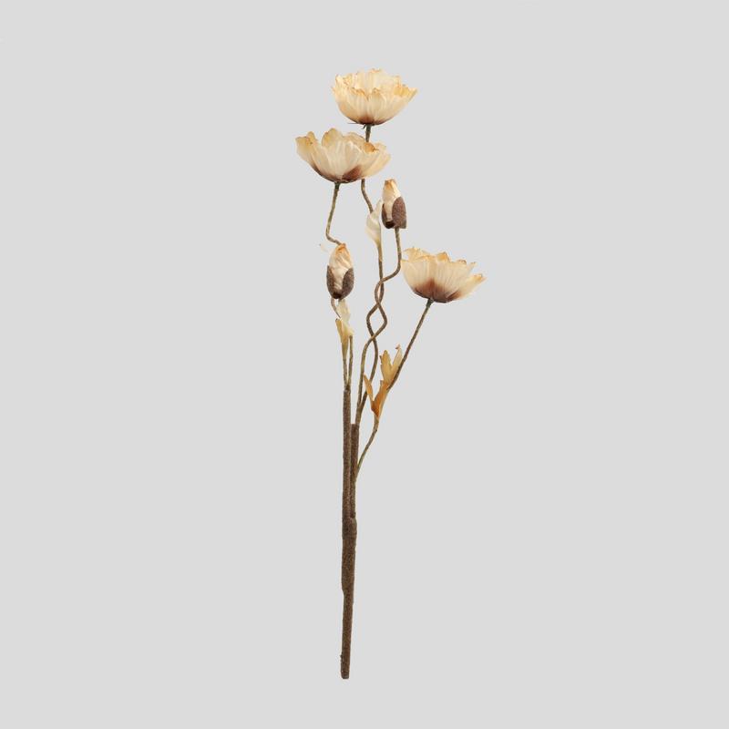 CEREALO TIGE 80cm