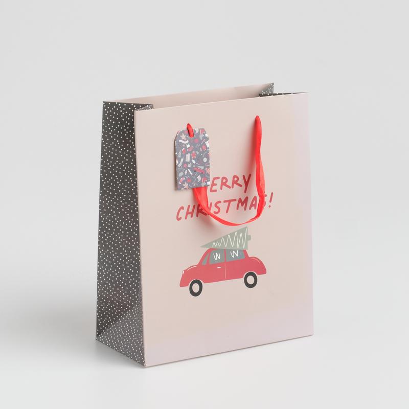 DARILLO SAC CADEAU M