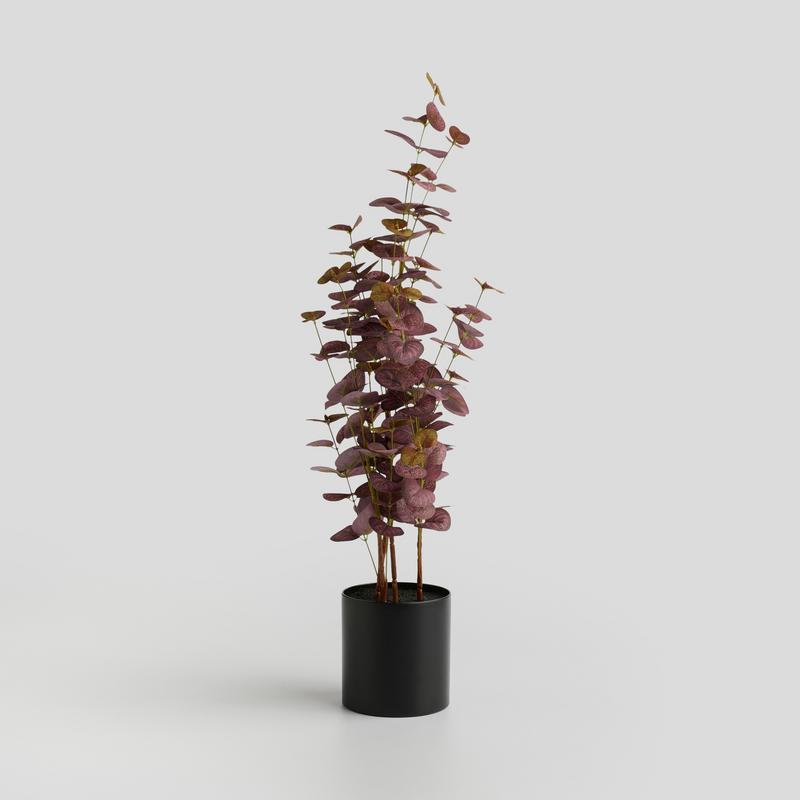 VIOLENE PLANTE 10x68cm